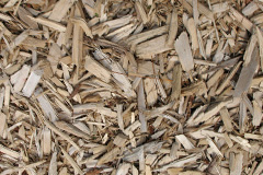 biomass boilers Bittadon